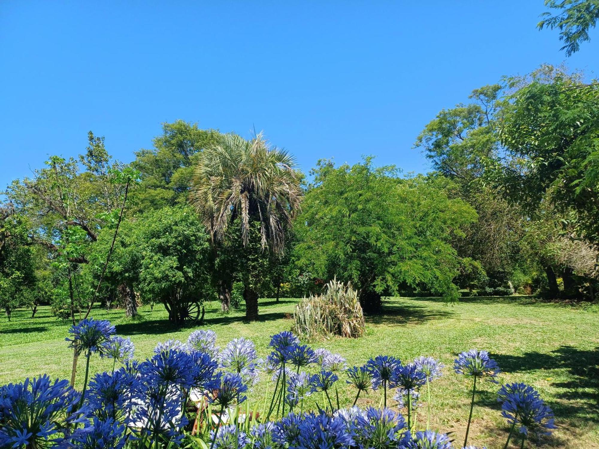 Chacara Rosa Cortiana Bed & Breakfast Sao Gabriel (Rio Grande do Sul)