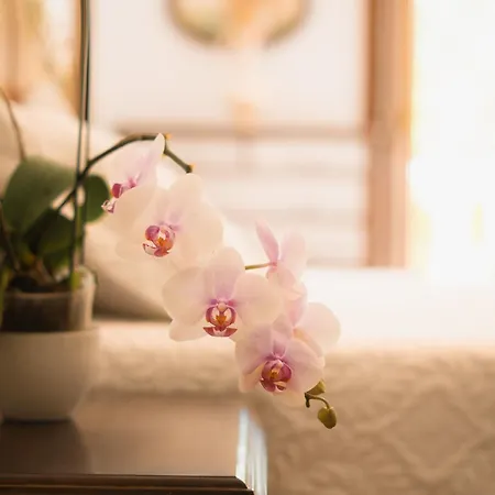 Chacara Rosa Cortiana Bed & Breakfast Sao Gabriel  Exterior photo
