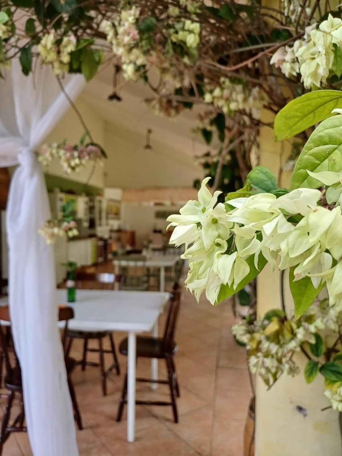 Chacara Rosa Cortiana Bed and breakfast São Gabriel